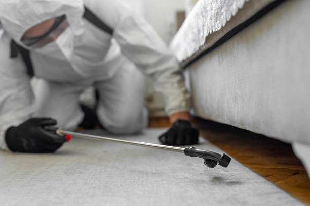 Professional Termite Control technician working in Lakewood, NY