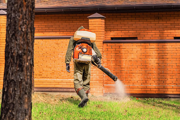Trusted Termite Control service in Lakewood, NY - Nex Pest Control
